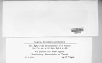 Image Associated With the Occurence